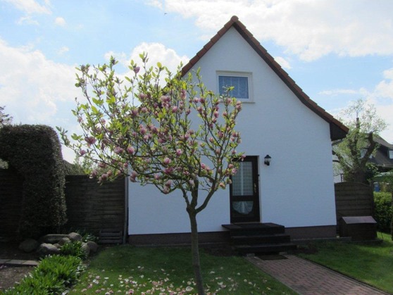 Ferienhaus in Kühlungsborn - Höppner, Joachim - Bild 11