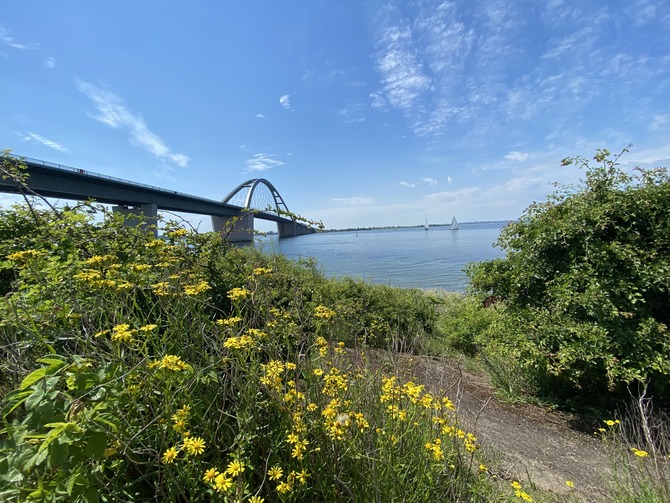 Ferienwohnung in Gro&szlig;enbrode - Haus El Mar - Bild 25