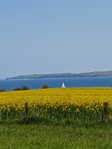 Ferienwohnung in Langholz - Seeblick - Bild 16