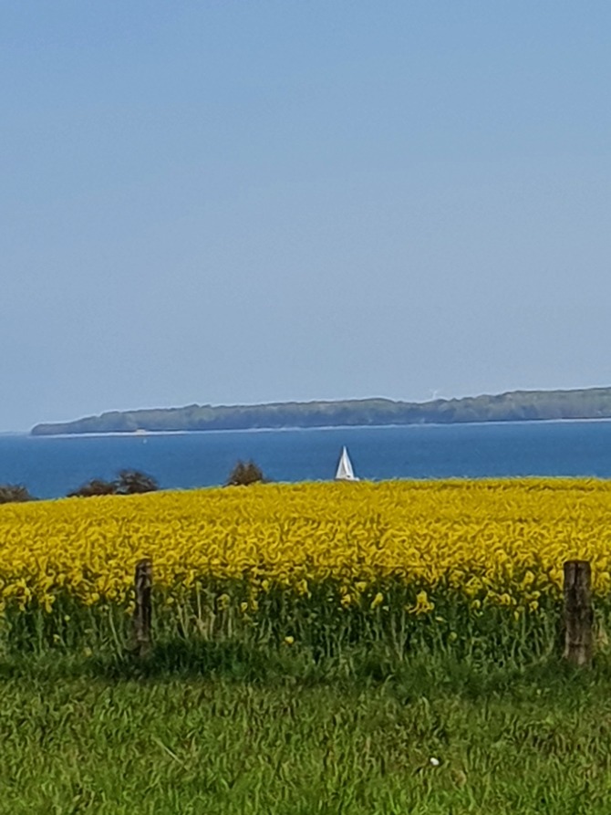Ferienwohnung in Langholz - Seeblick - Bild 16