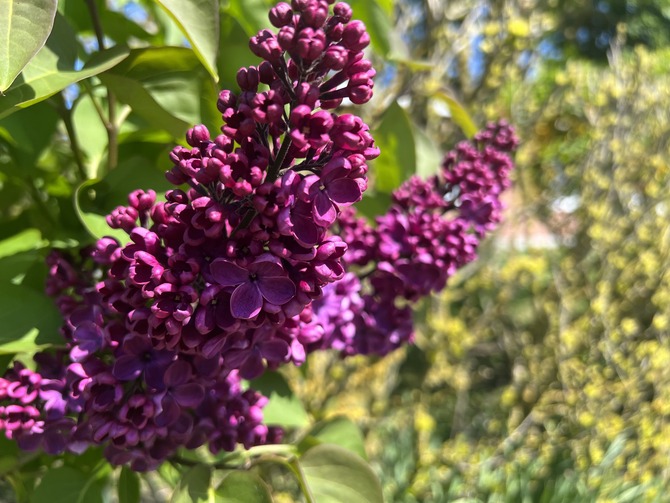 Doppelzimmer in Fehmarn OT Westermarkelsdorf - Pension Seestern - Bild 15