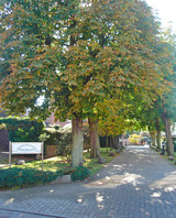 Ferienwohnung in Grömitz - Deichkrone - Eingang durch die Allee zum Haus