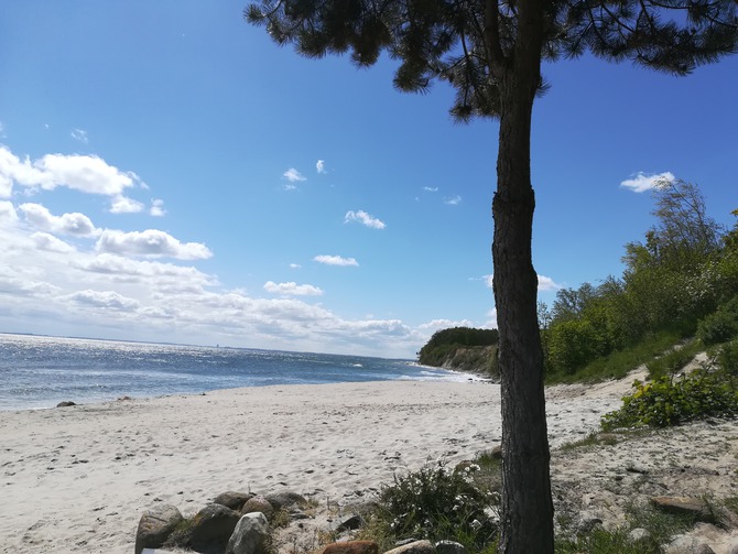 Ferienwohnung in Grömitz - Deichkrone - Steilküste