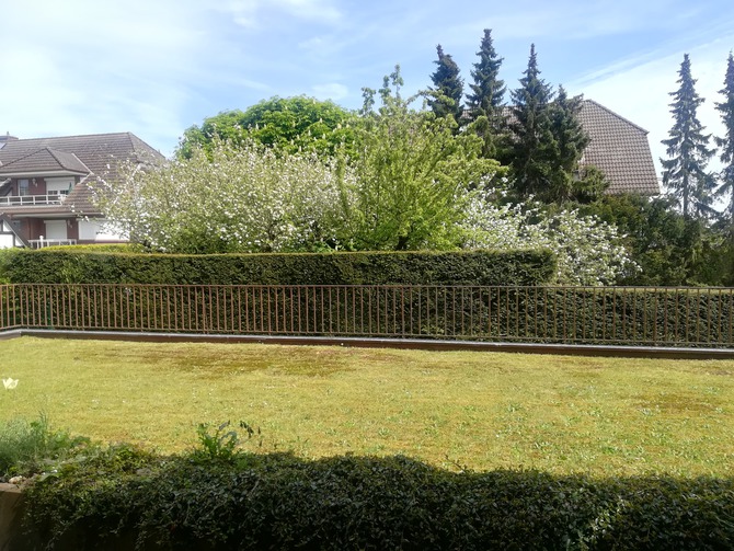 Ferienwohnung in Grömitz - Deichkrone - Blick von der Terrasse