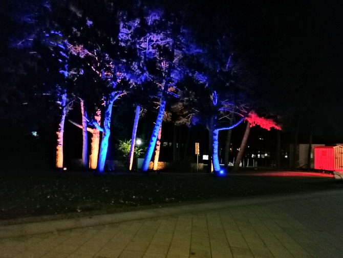 Ferienwohnung in Grömitz - Deichkrone - Grömitz leuchtet