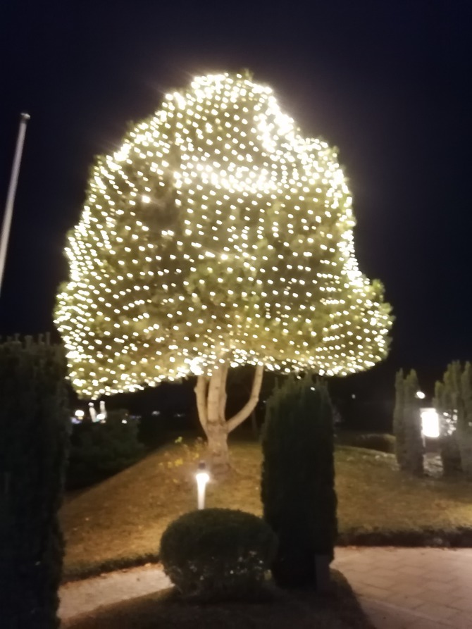 Ferienwohnung in Grömitz - Deichkrone - Bild 25