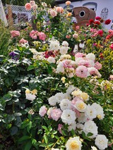 Ferienwohnung in L&uuml;tjenbrode - Residence Strandl&auml;ufer - Bild 19