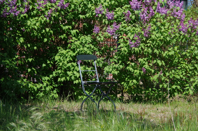 Ferienwohnung in Barhöft - Matrosendeck - Lotsenhaus Barhöft - Matrosendeckwohnung - Garten