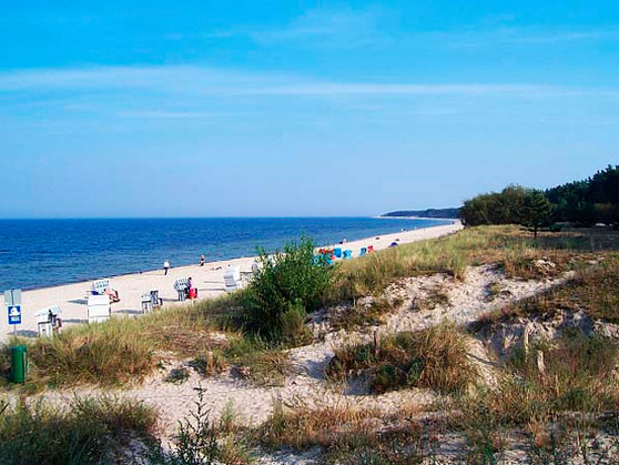 Ferienwohnung in Zinnowitz - Mare Balticum - Bild 7