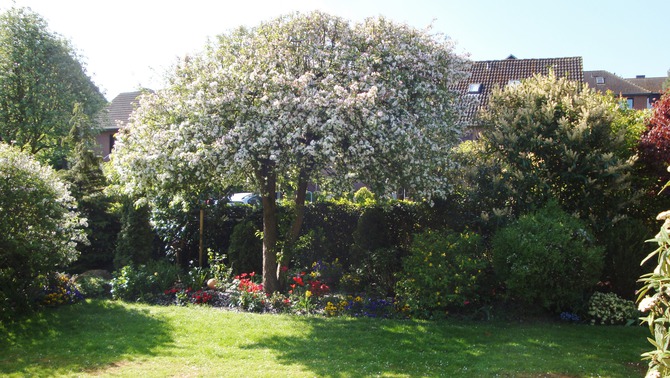 Ferienwohnung in Heiligenhafen - Clasen - Gartenanlage