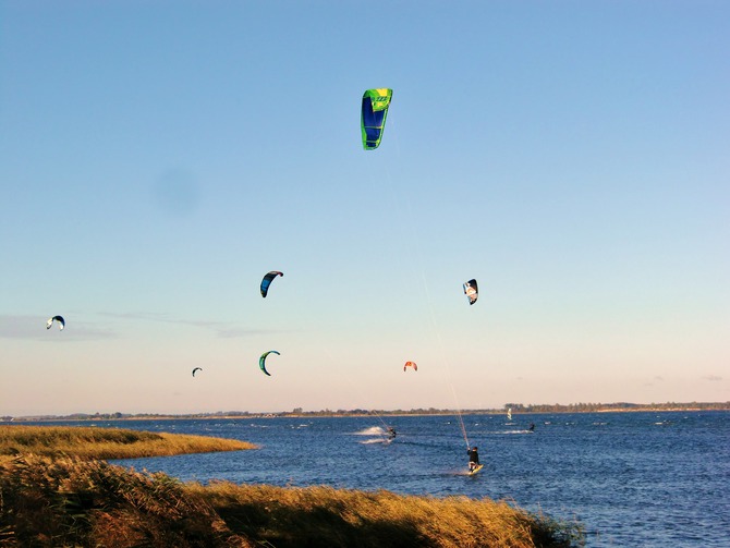 Ferienwohnung in Tremt - Zum Naturstrand - Der Strand ist ein Hotspot für Kitesurfer