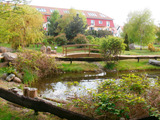 Ferienwohnung in Kühlungsborn - Maisonette Dünengarten - Bild 7
