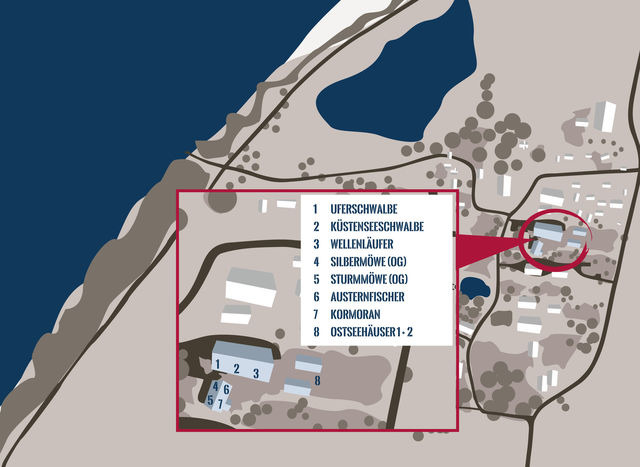 Ferienwohnung in Fehmarn OT Westermarkelsdorf - Küstenseeschwalbe - Bild 16