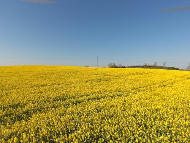 Ferienwohnung in Rabenkirchen-Faulück - Schleiblick App. 6 - Bild 11