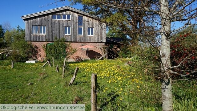 Ferienwohnung in Barkelsby - ökologische Ferienwohnung Rossee /Wohnung Süd - Bild 18