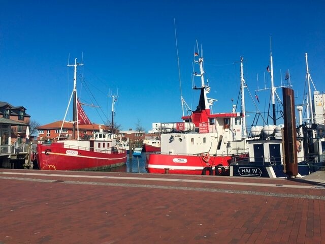 Ferienhaus in Heiligenhafen - Ostsee - Reetdachhaus Nr. 8 "Sonne und mehr" - mit Lademöglichkeit im Strand Resort - Bild 24