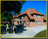 Ferienwohnung in Fehmarn OT Presen - "Ferienhof Rießen" Utspan Nr. 61 - Bild 1