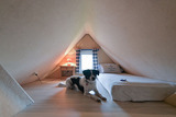 Ferienwohnung in Fehmarn OT Katharinenhof - Ferienhof Augustenh&ouml;he - Bauernhaus Nr.10 - Bild 10