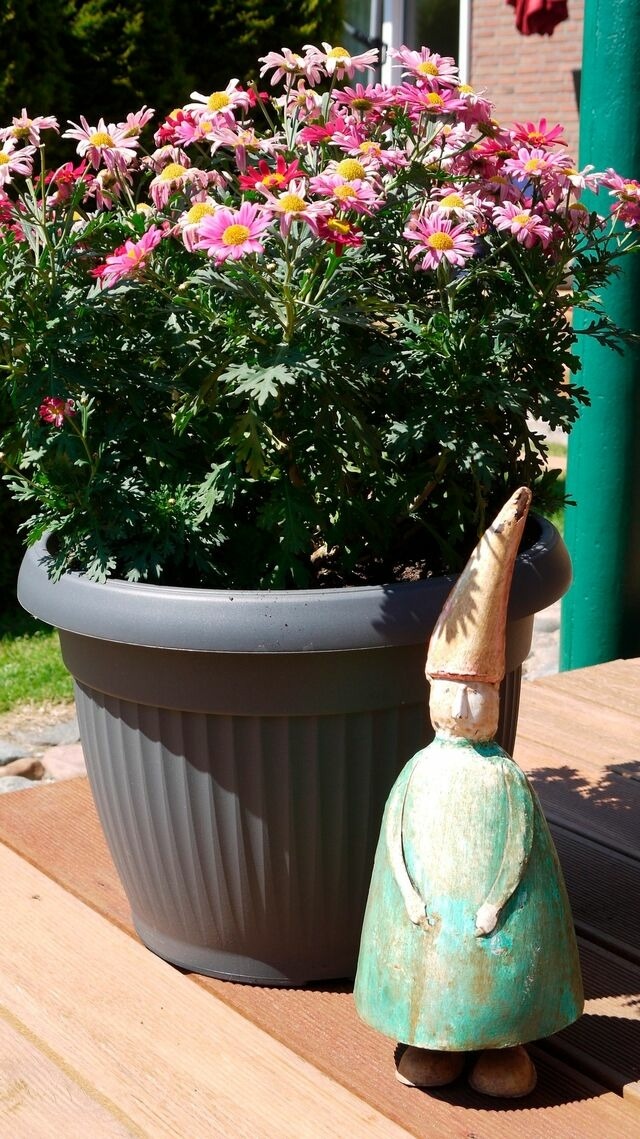 Ferienwohnung in Fehmarn OT Burg -  - Bild 19