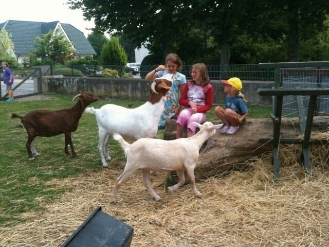 Ferienwohnung in Fehmarn OT Bannesdorf - "Ferienhof Alte M&uuml;hle" W 1a - Bild 9