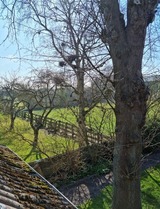 Ferienwohnung in Fehmarn OT Bisdorf - Ferienhof Bisdorf "Steilk&uuml;ste" - Bild 11