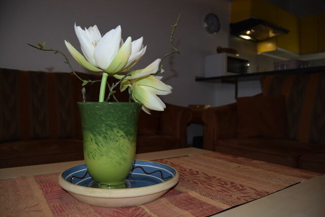 Ferienwohnung in Sch&ouml;nberger Strand - Stoltenberg, Mona & S&ouml;nke: Ferienapp. "Der Wikinger" - Bild 5