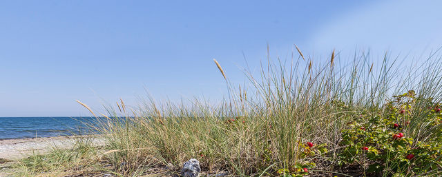 Ferienwohnung in Fehmarn OT Staberdorf - Meeresrauschen - direkt am Meer - Bild 10