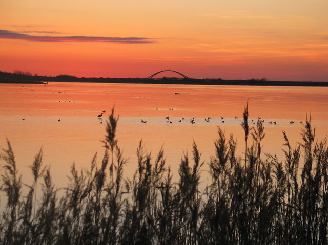 Ferienwohnung in Fehmarn OT Landkirchen - Haus Amy - Wohnung 1 - Bild 18