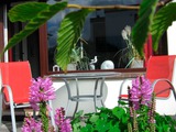Ferienwohnung in Gr&ouml;mitz - "Das kleine Strandgl&uuml;ck" - Bild 10