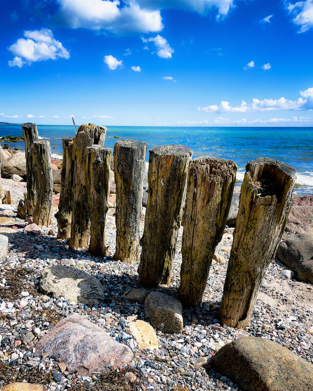 Ferienwohnung in Gr&ouml;mitz - "Haus Atlantic" - Wohnung "StrandGut" - Bild 24