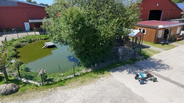 Ferienhaus in Fehmarn OT Sahrensdorf - "Bauernhof-Claussen", Haus M&ouml;we - Bild 22