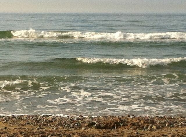 Ferienwohnung in Rostock - App. Forelle - Bild 21