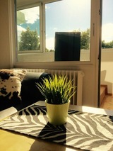 Ferienwohnung in Holm - Sachs, Gabriele: "Haus Schleswig", Ferienapp. (Nr. 247) - Bild 5