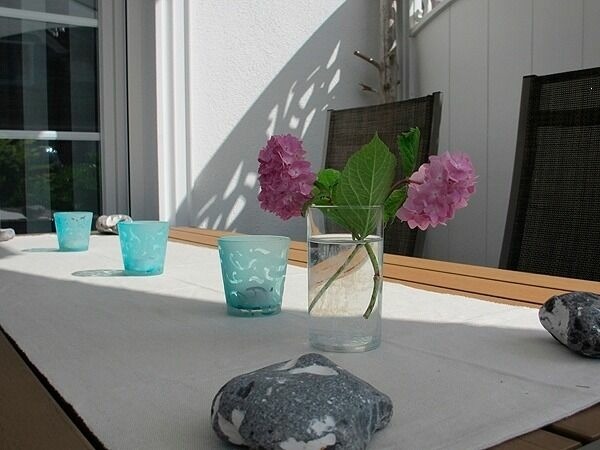 Ferienwohnung in Ostseeheilbad Zingst - Villa Carpe Diem,Whg. 1 - Bild 3