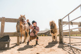 Ferienwohnung in Fehmarn - Ferienhof B&uuml;dlfarm - S&uuml;d Ost - Bild 10