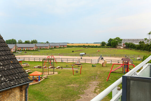 Ferienwohnung in Fehmarn - Ferienhof Büdlfarm - Nord Ost - Bild 8
