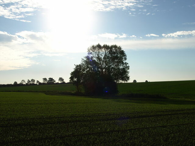 Ferienwohnung in Klaustorf - Lütte Deern (Whg. 3) - Bild 25
