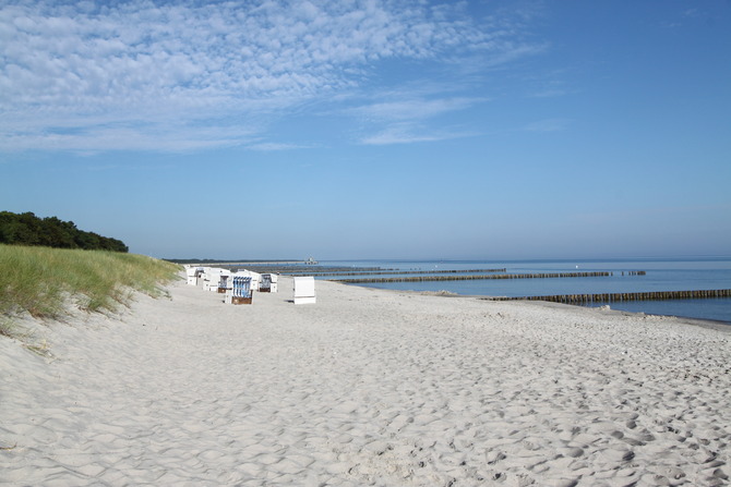 Ferienhaus in Zingst - Weidenstraße 6 - Bild 17