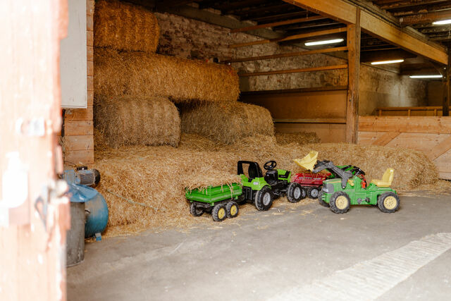 Ferienhaus in Fehmarn OT Staberdorf - Omas Haus - Bild 21