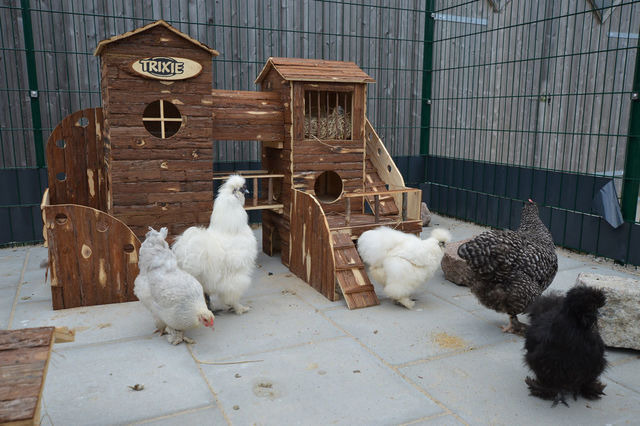 Ferienhaus in Fehmarn OT Staberdorf - Reetdachhaus 6, inkl. 2 Parkplätze - Bild 24