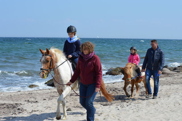 Ferienwohnung in Fehmarn OT Staberdorf - Bauernhaus 2, inkl. 1 Parkplatz - Bild 12