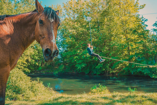 Ferienwohnung in Fehmarn OT Westermarkelsdorf - Brise - Bild 24