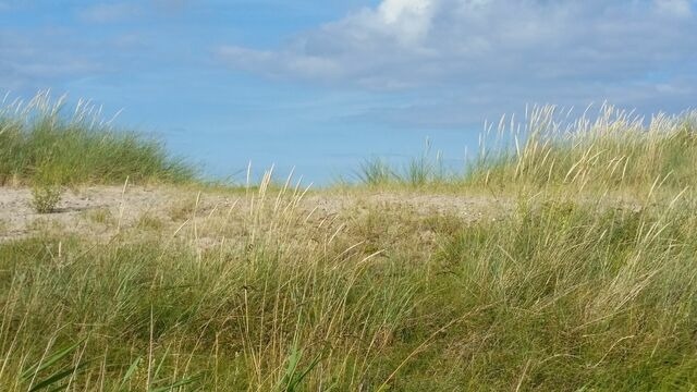 Ferienwohnung in Behrensdorf - Ferienwohnung Strandgut - Bild 15