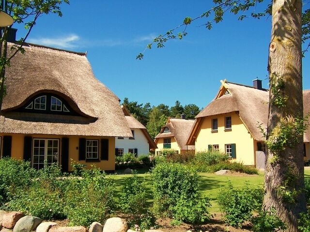 Ferienhaus in Dierhagen - Reetgedecktes Ferienhaus - Bild 2