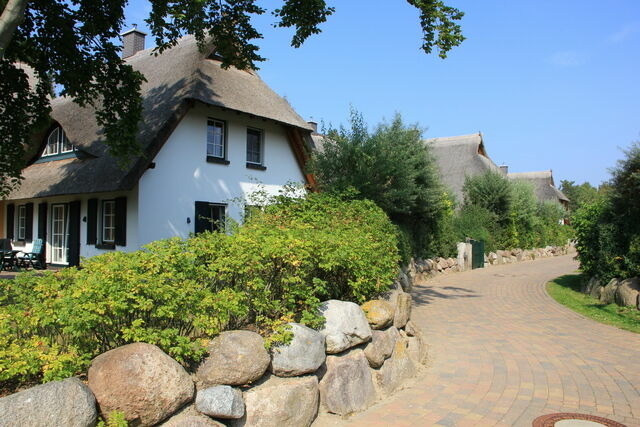 Ferienhaus in Dierhagen - Reetgedecktes Ferienhaus - Bild 4