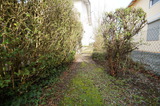 Ferienwohnung in Kellenhusen - D&uuml;nung - Bild 9