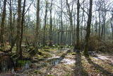 Ferienwohnung in Prerow - FeWo Weststrand - Heuser Prerow - Bild 16