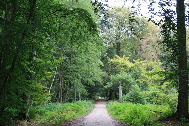 Ferienwohnung in Prerow - FeWo K&auml;uzchen - Ulenhoef - Bild 10