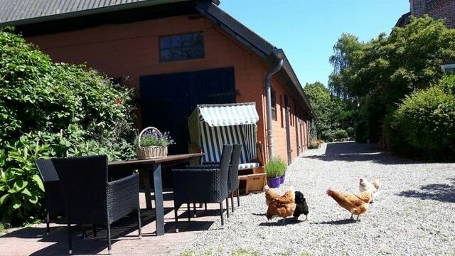 Ferienwohnung in Fehmarn - Ferienwohnung "Rosenrot" auf dem Ferien + Bauernhof Nilson in Inselmitte - Bild 19
