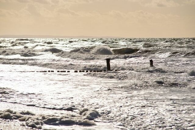 Ferienwohnung in Graal-Müritz - Aster - Bild 17